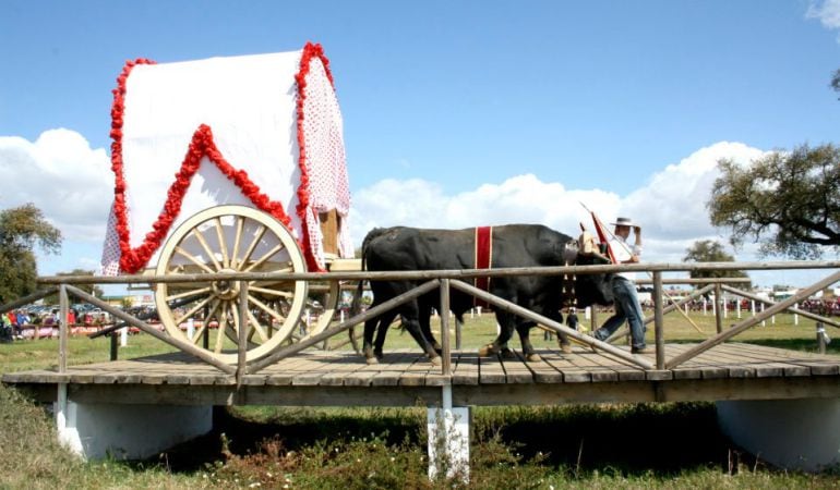 La XIX Feria del Turismo y las Tradiciones del Entorno de Doñana incluye el habitual Concurso de Yuntas y Carreteros