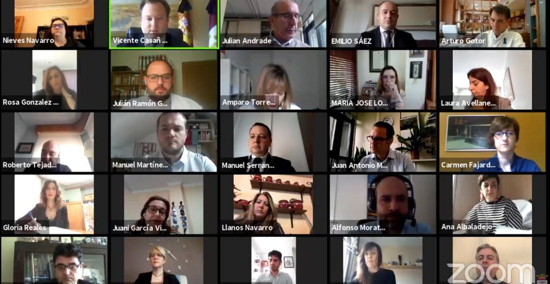 Imagen del pleno telemático de este jueves