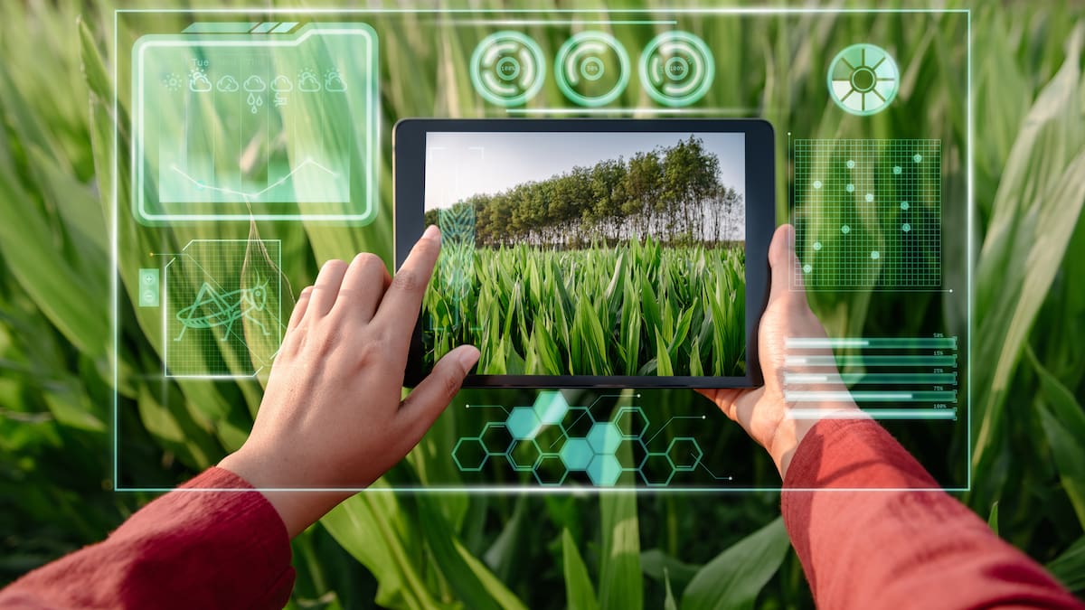 I+D Agro: cómo la IA revoluciona el sector primario en Galicia