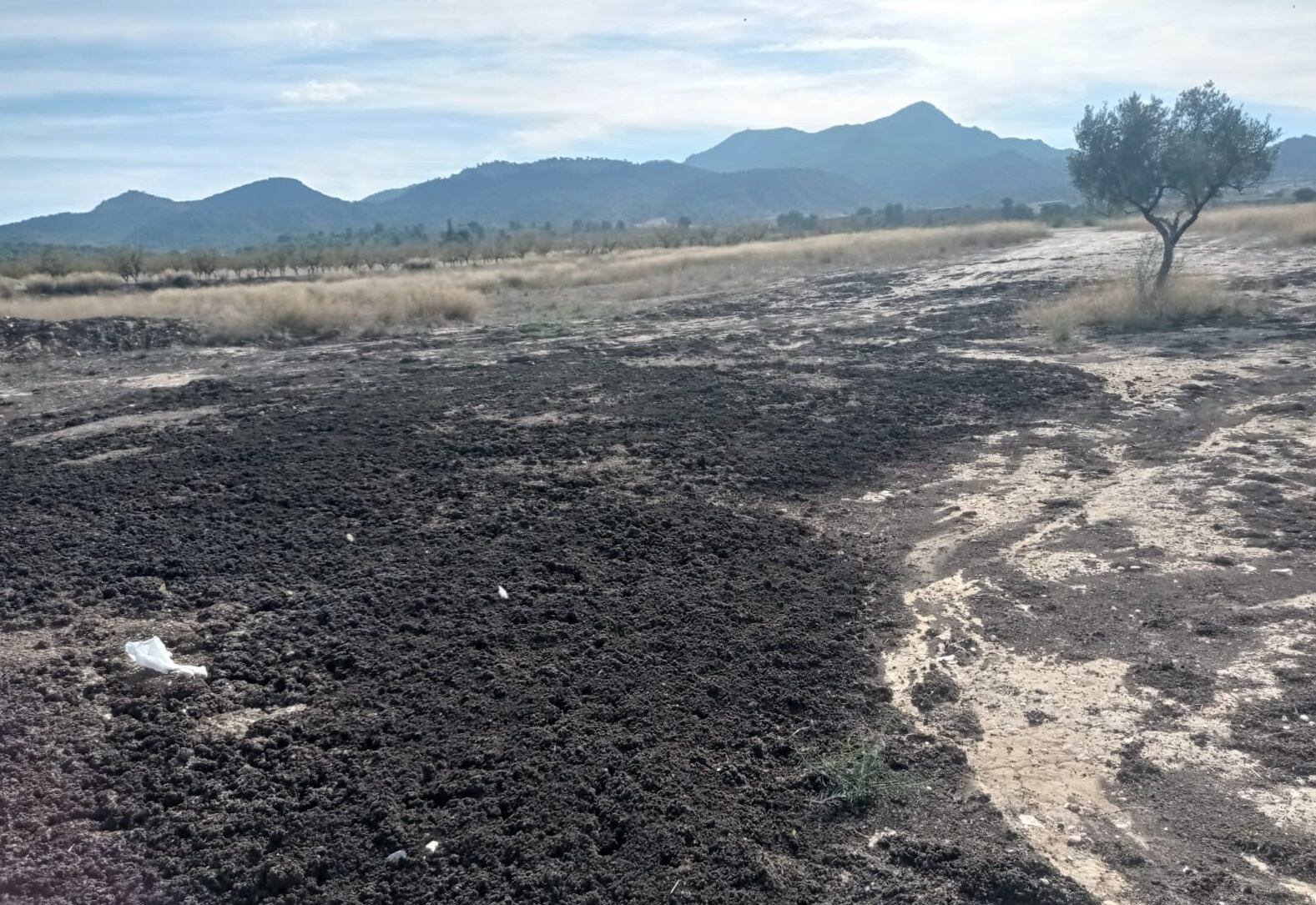 Lodos usados para fines agrícolas en Jumilla