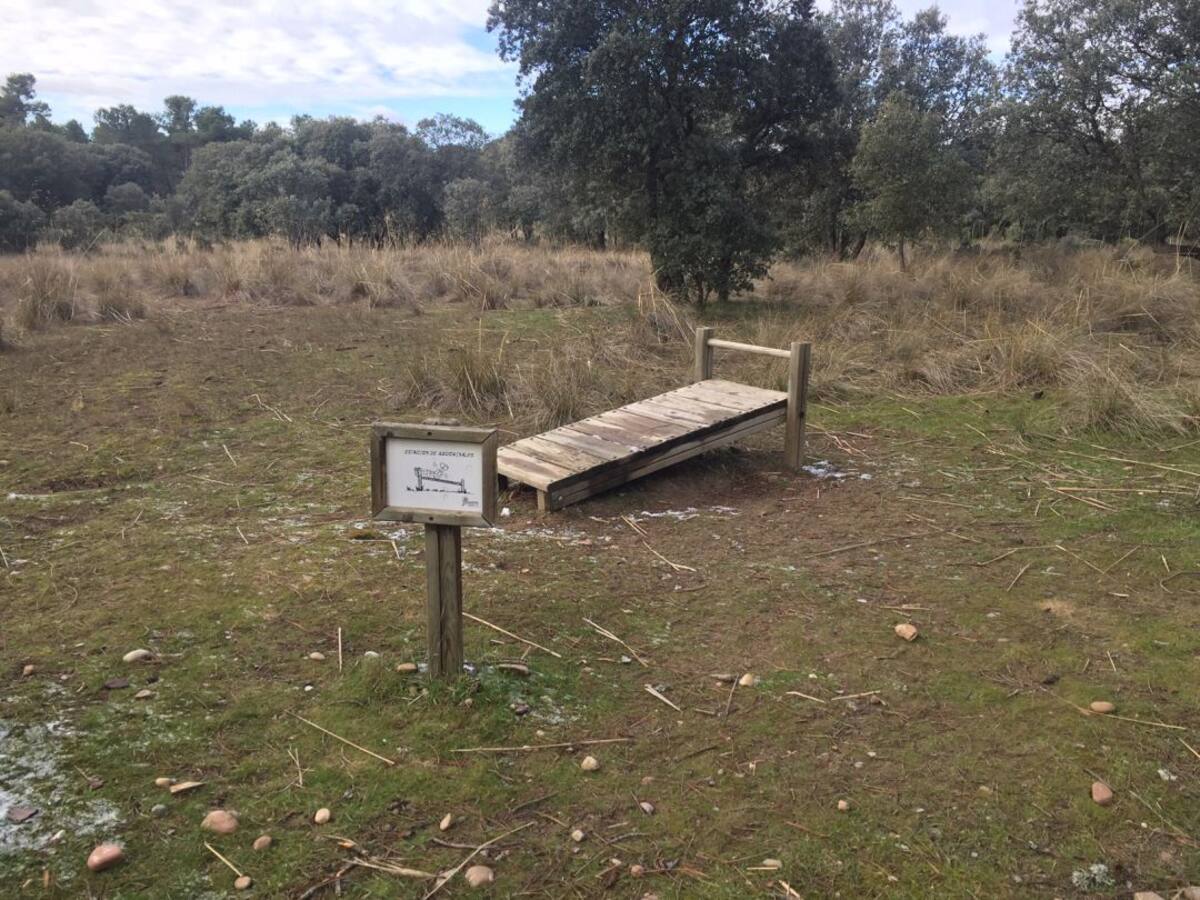 La Calabaza ganará puntos como espacio de esparcimiento