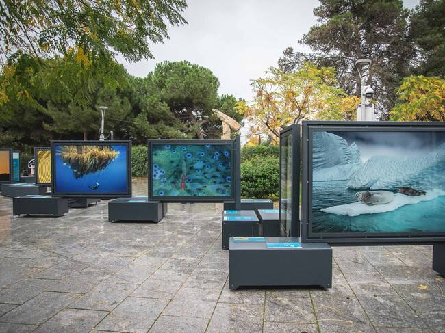 Exposición La Caixa