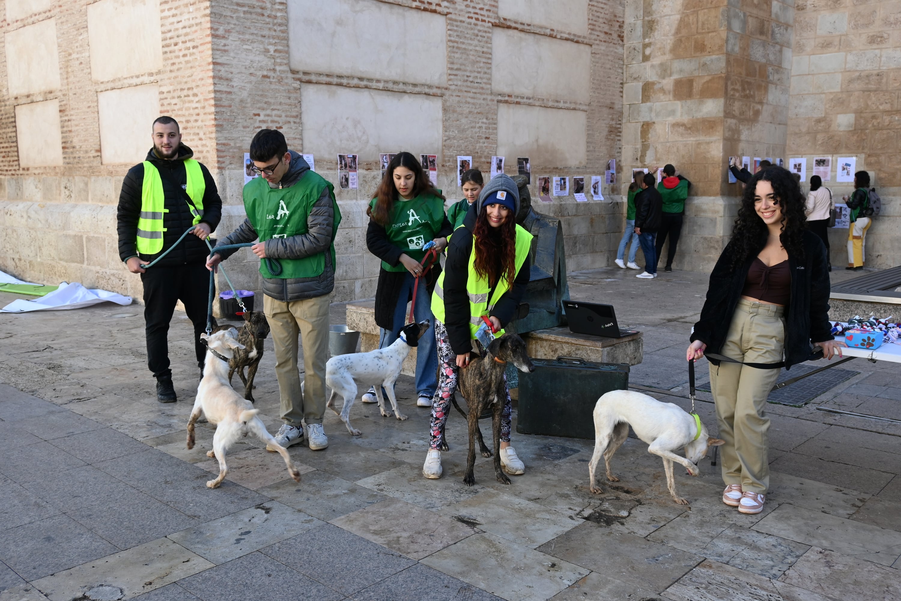 Varios jóvenes de 12 a 18 años han invitado a adoptar a perros del centro municipal canino, durante la jornada de este jueves en la Plaza de la Constitución de Valdepeñas (Ciudad Real)