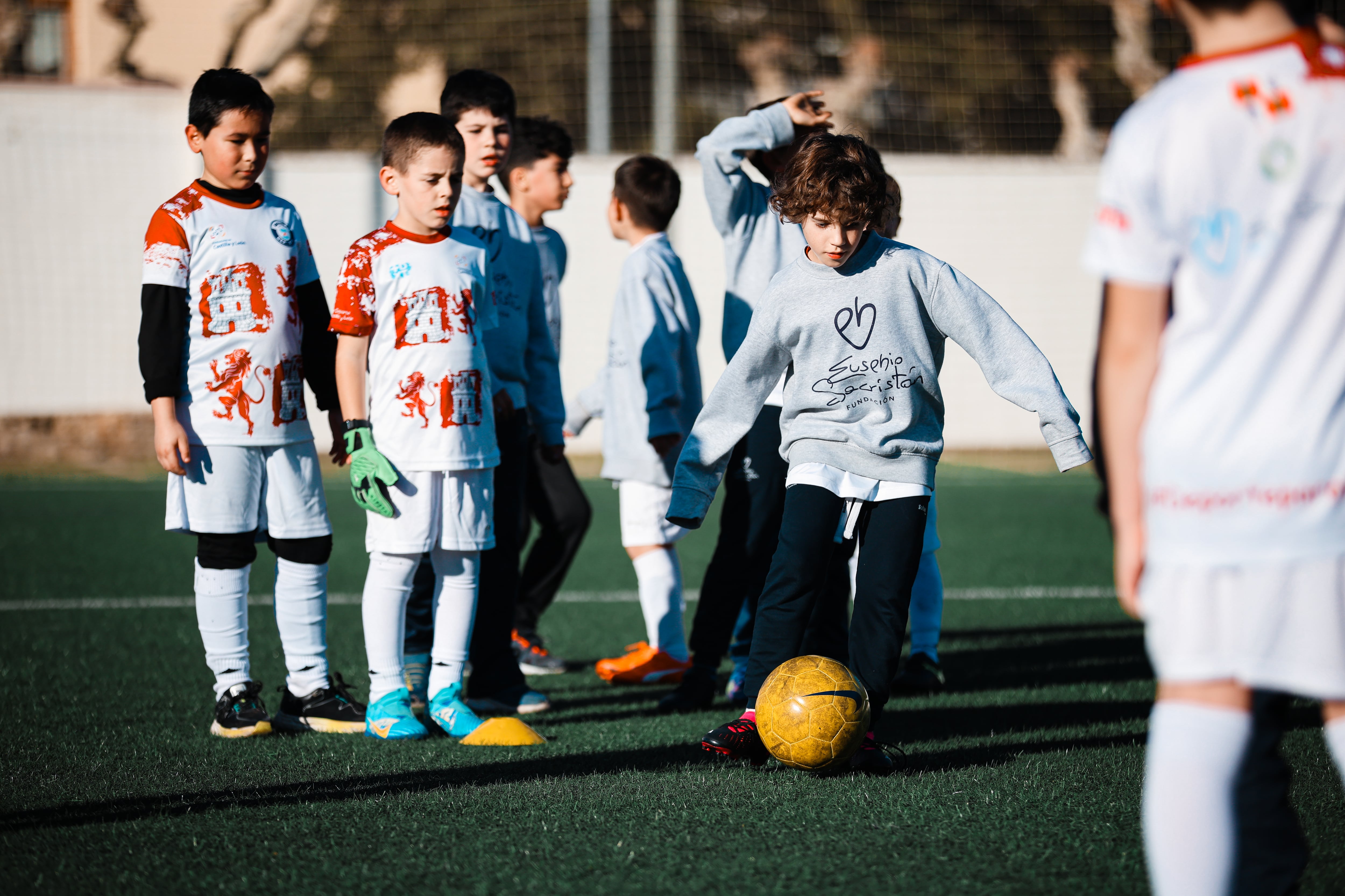 Fundación Eusebio Sacristán, premio de Honor 2025.