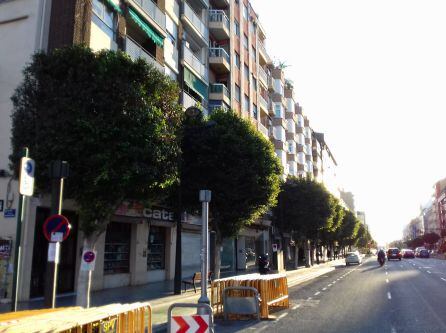 Los trabajos de poda en la Avenida del Puerto de València se prolongarán hasta principios del próximo mes de enero