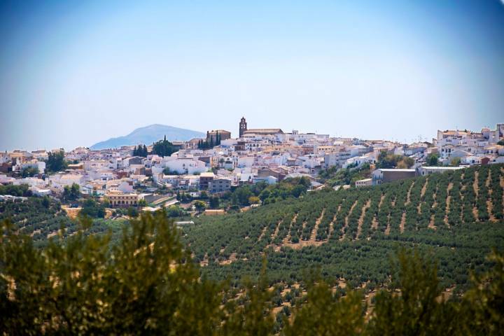 Vista panorámica de Arjona