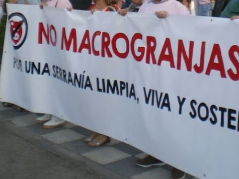 Concentración en Villalba de la Sierra (Cuenca) contra las macrogranjas de cerdos.