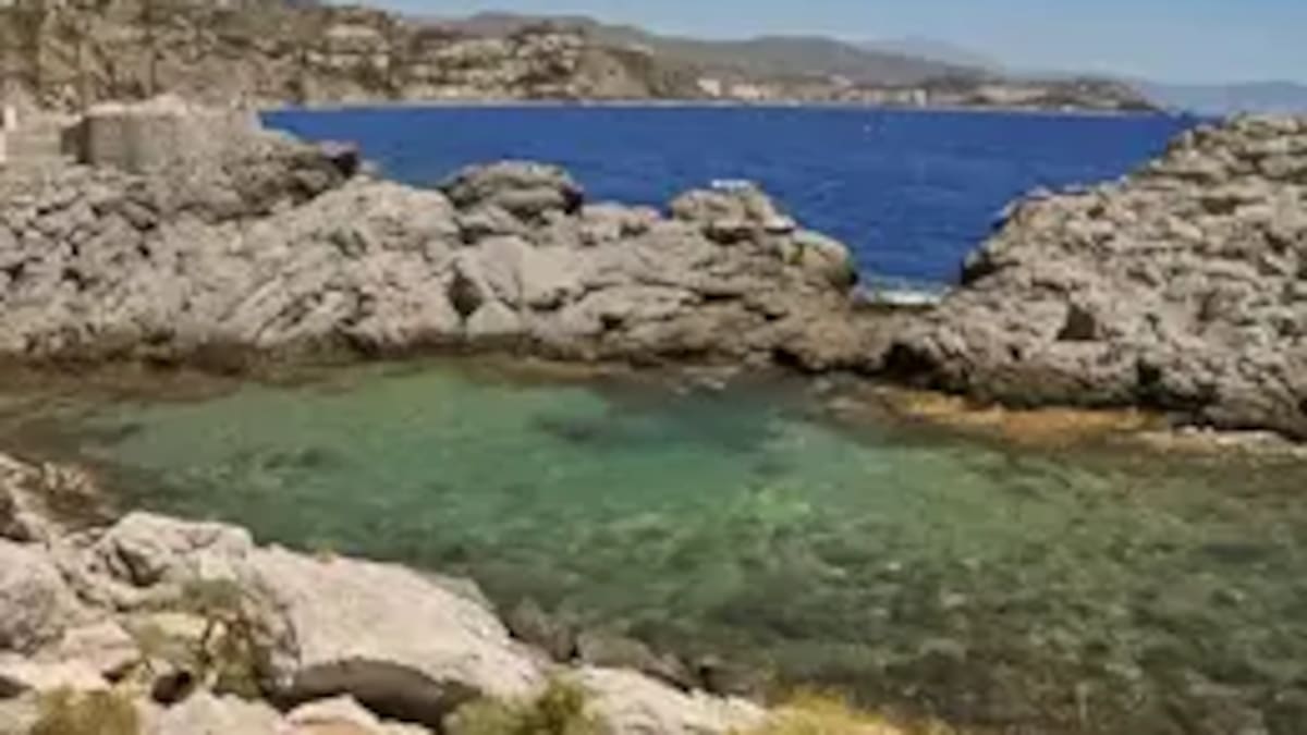 La recuperación de los ecosistemas marinos en la Punta de la Mona abre la puerta a revisar la regulación de la pesca deportiva en Almuñécar