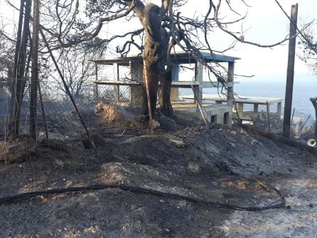 Fotogalería | Mati, tras la ola de incendios que ha devastado Grecia