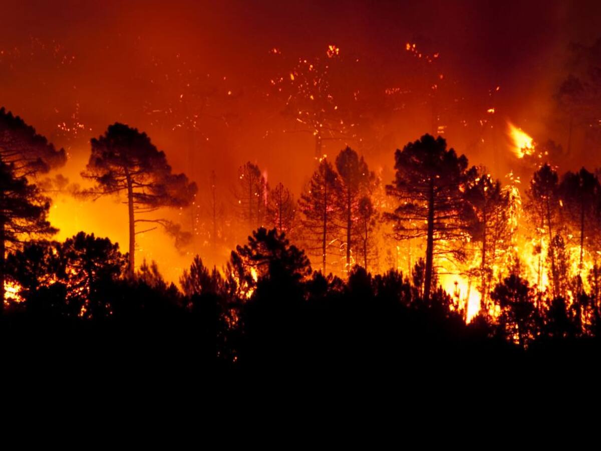 ¿Por qué ahora hay más incendios y son más peligrosos?