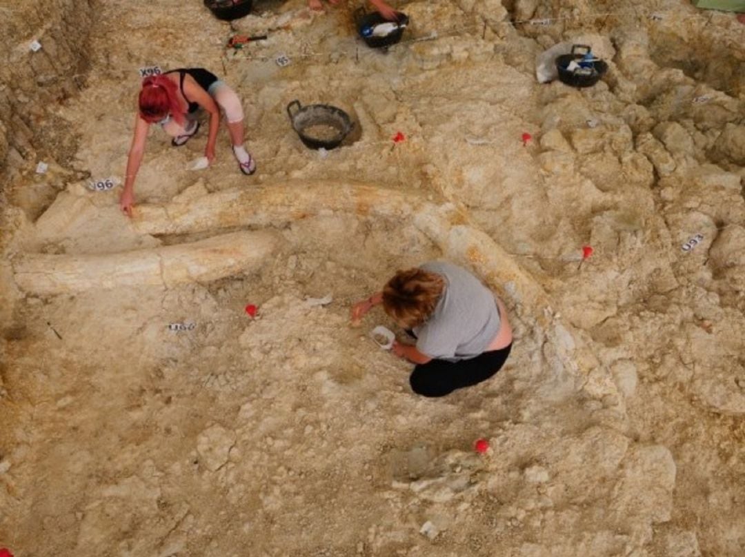 Campaña de excavaciones en los Yacimientos de Orce