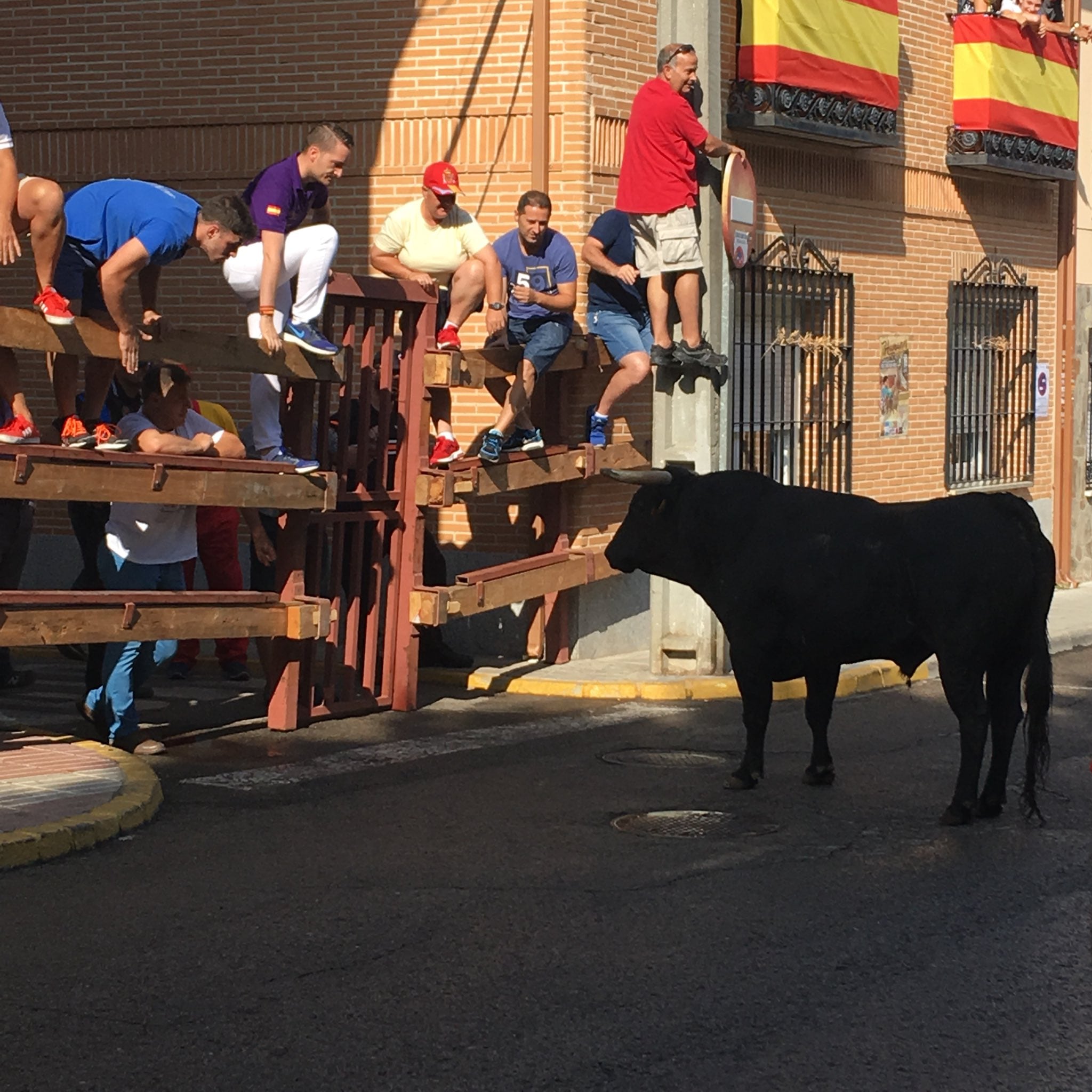 Imagen de archivo de un encierro en Humanes de Madrid