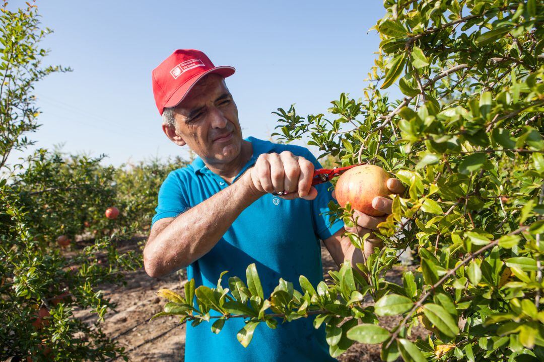 Denominación de Origen