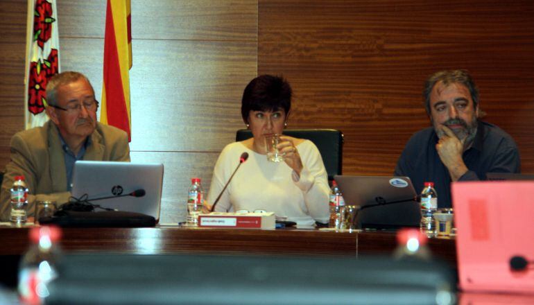 L&#039;alcaldessa de Roses, Montse Mindan, bebent aigua en un ple. 