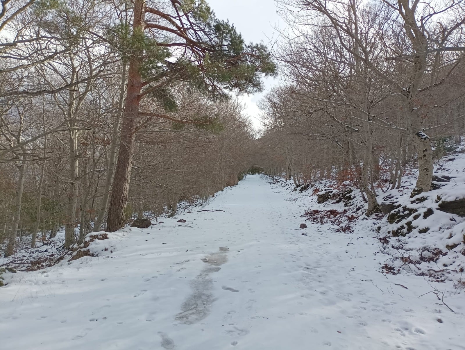 El hielo condiciona este fin de semana los accesos al Moncayo