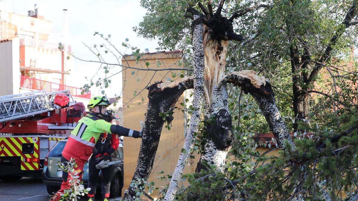 Protección Civil declara la alerta por fuertes vientos y lluvias en toda Castilla y León hasta el próximo lunes