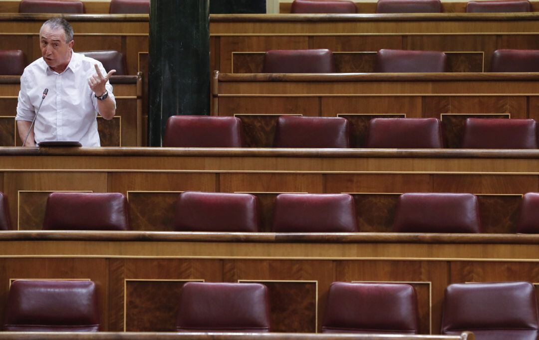 El diputado de Compromís, Joan Baldoví, en el Pleno del Congreso