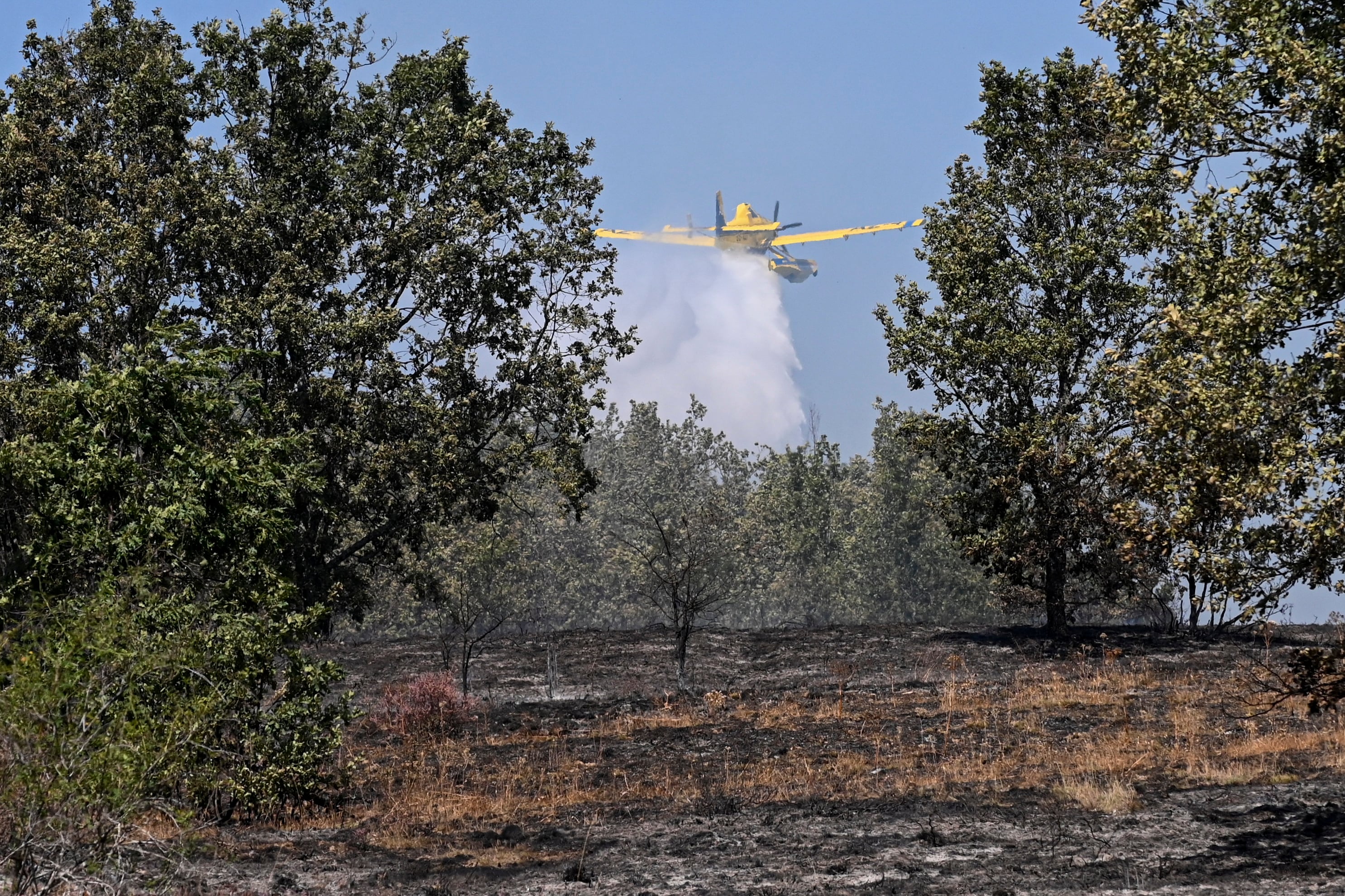 Labores de extinción de un incendio en Castilla y León