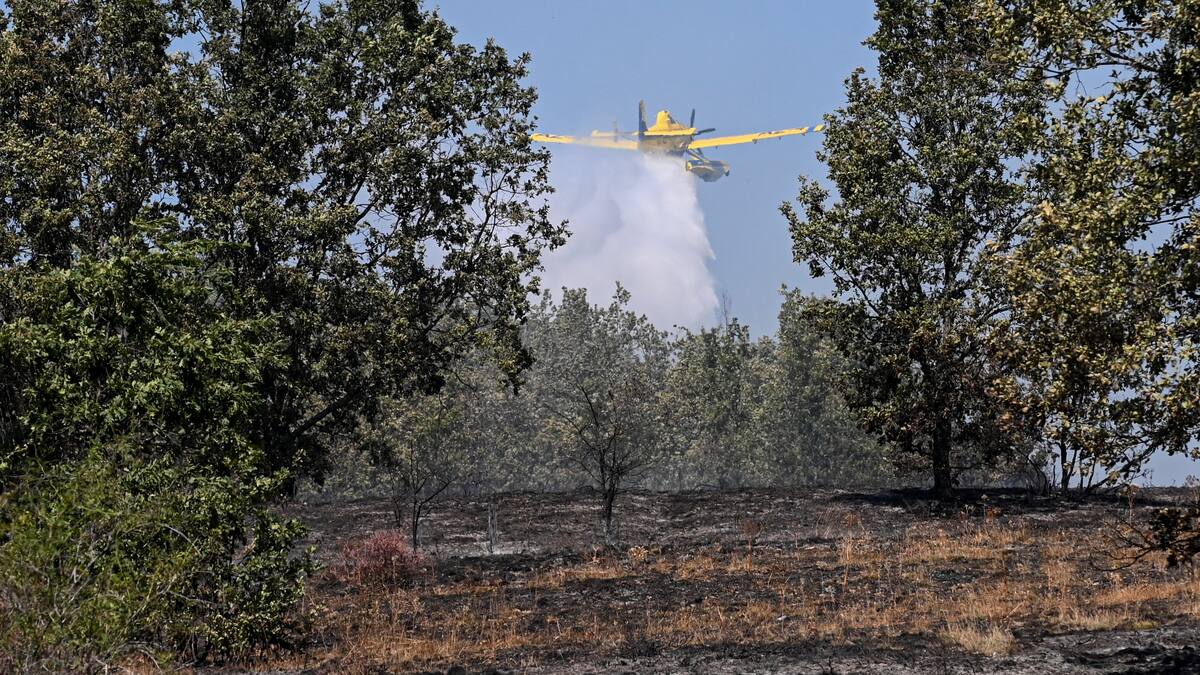 El Gobierno declara zona catastrófica el área dañada por cinco incendios registrados este verano en Castilla y León