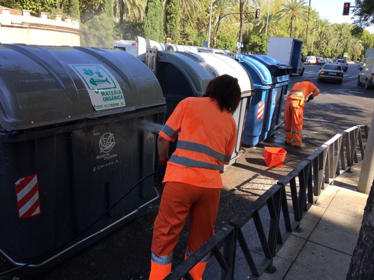 Operarios de Sadeco limpian contenedores en la avenida de la Victoria