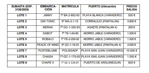 Embarcaciones a subasta en el BOC