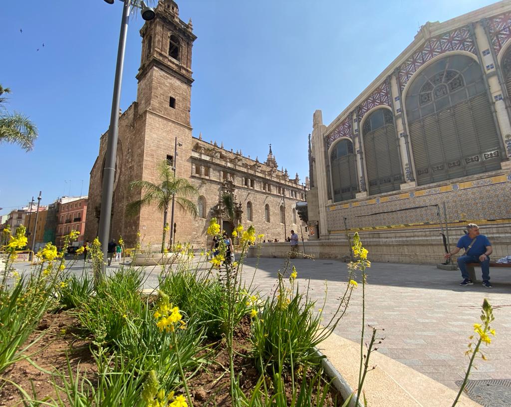 Vegetación en las plazas Ciudad de Brujas y del Mercado