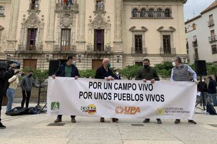 De izquierda a derecha, los responsables de Coag (Juan Luis Ávila), Asaja (Luis Carlos Valero), Upa (Cristóbal Cano) y Cooperativas Agroalimentarias (Cristóbal Gallego).