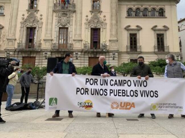 De izquierda a derecha, los responsables de Coag (Juan Luis Ávila), Asaja (Luis Carlos Valero), Upa (Cristóbal Cano) y Cooperativas Agroalimentarias (Cristóbal Gallego).