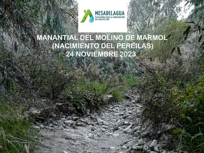 El nacimiento del Pereilas "está prácticamente seco"