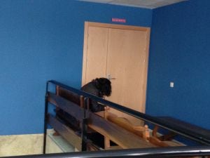 La acusada del doble delito