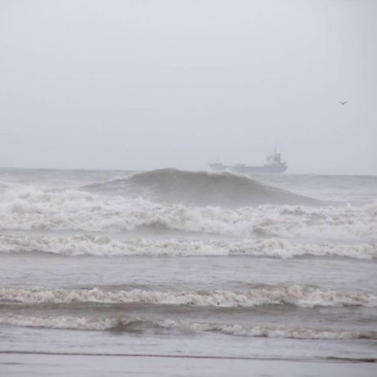 La Generalitat Valenciana financiará los daños de la borrasca Filomena en los municipios afectados