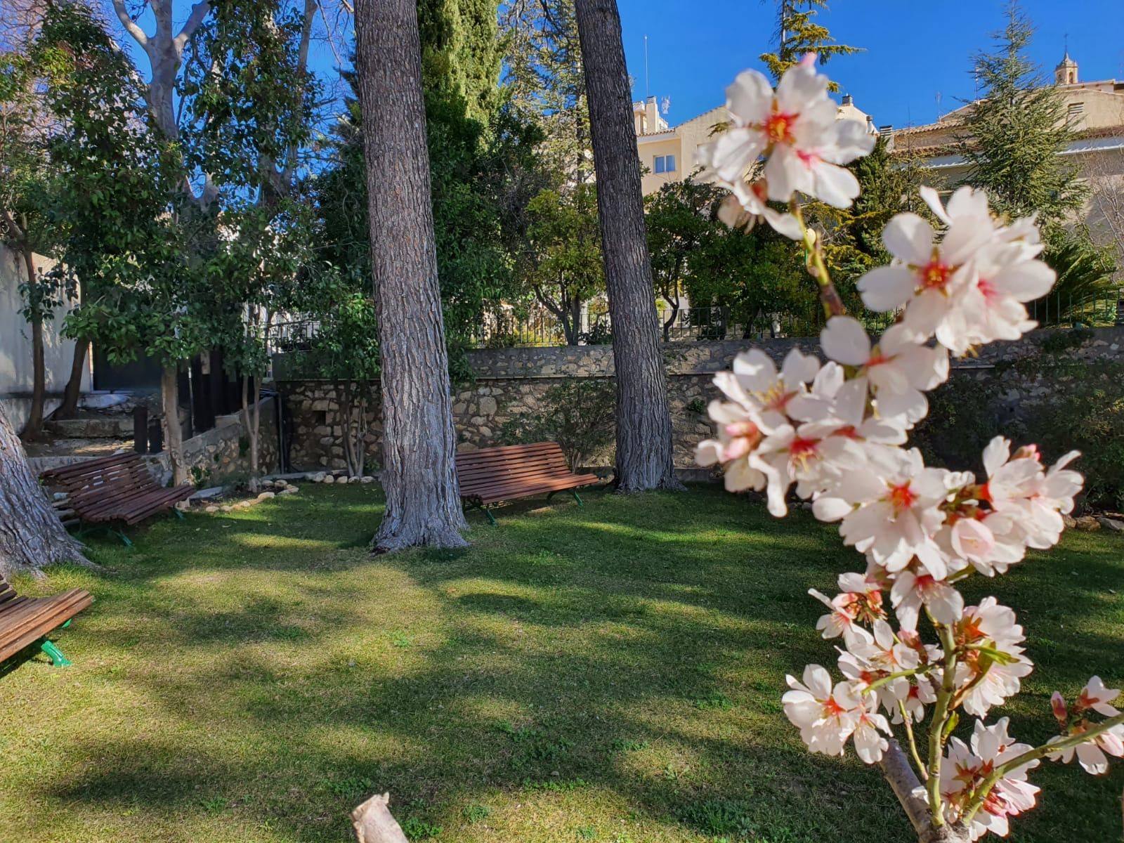 Patio del hotel