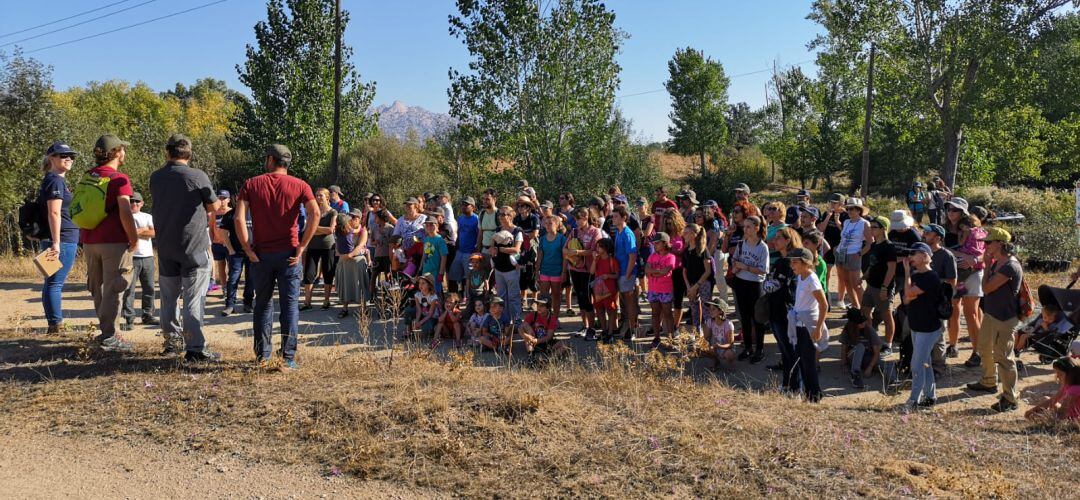 Los vecinos de Cerceda participan en la reforestación