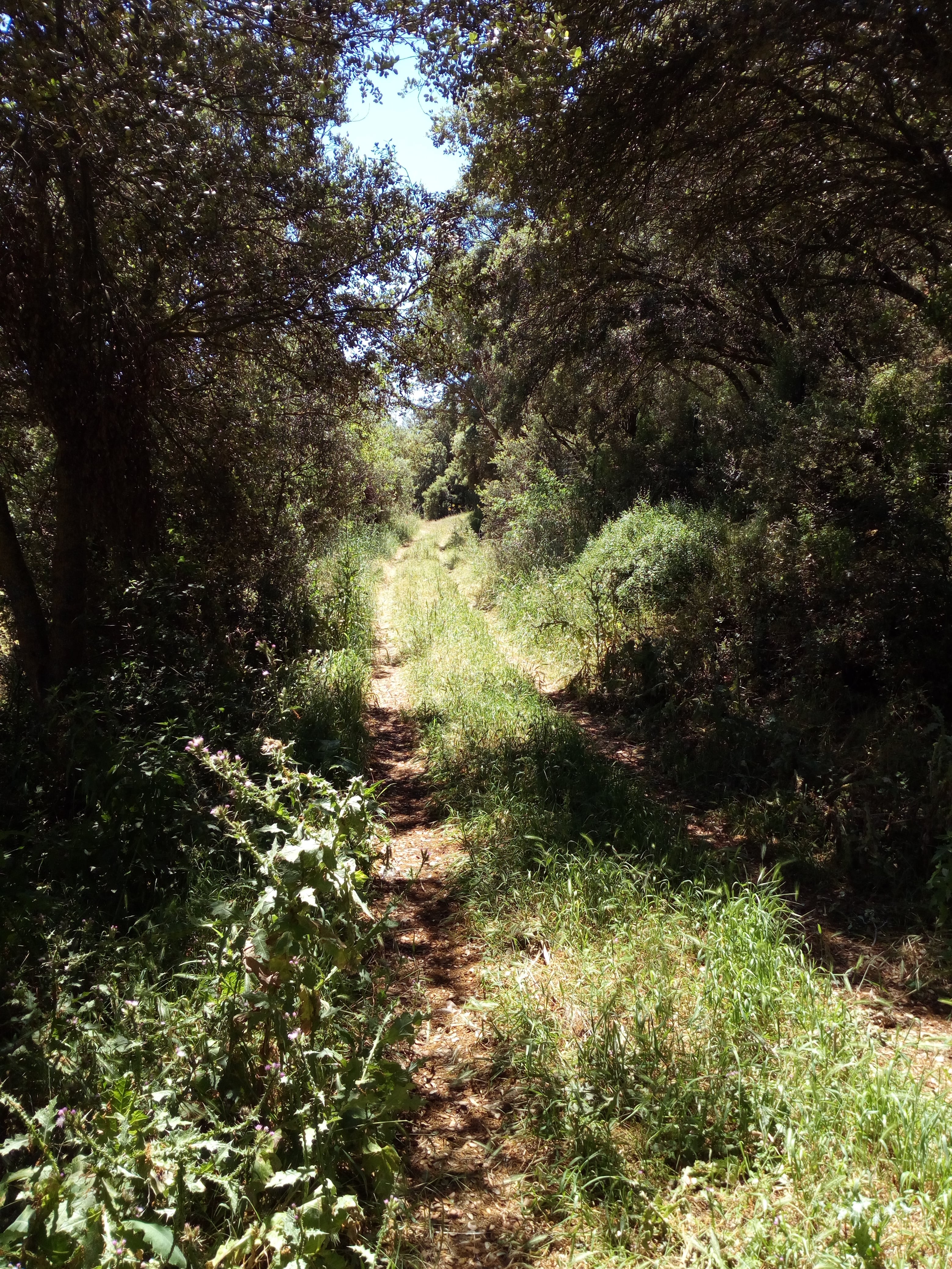 Camino Natural del Záncara.