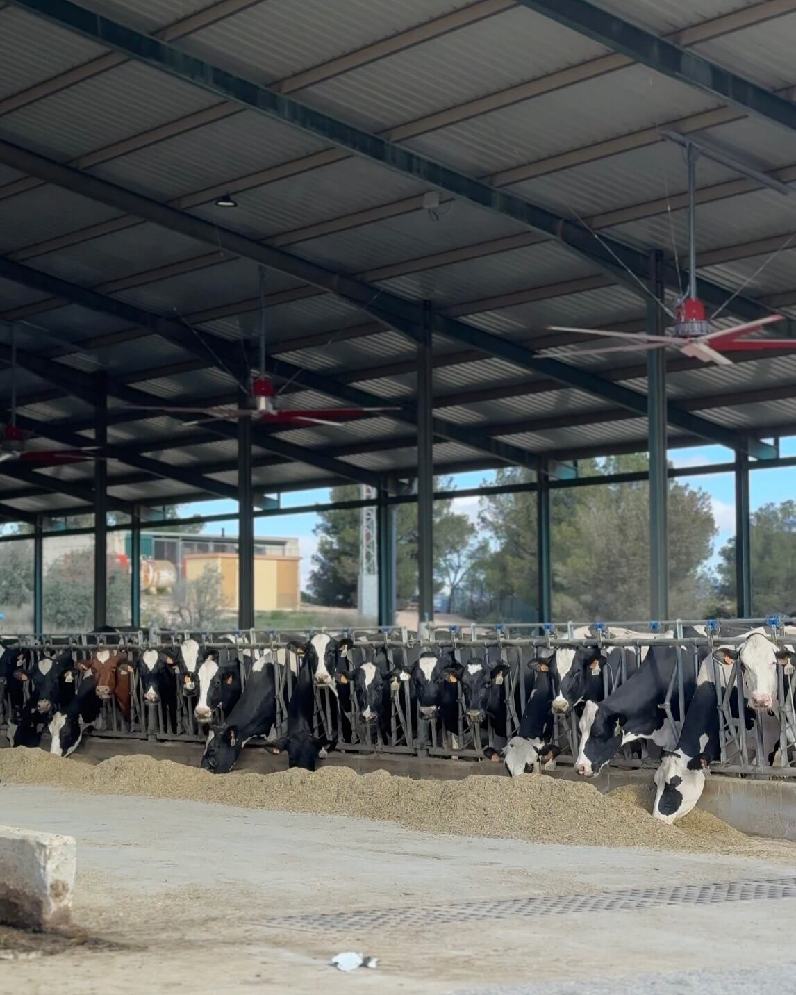 Momento de la visita a la empresa ganadera