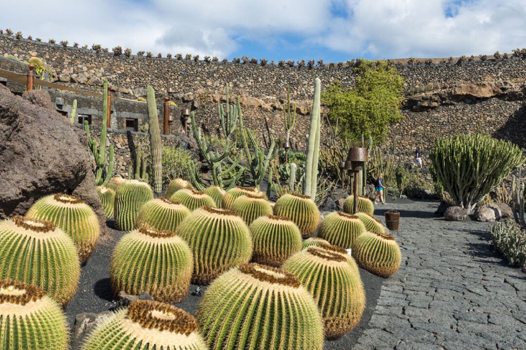 Interior del Jardín de Cáctus.