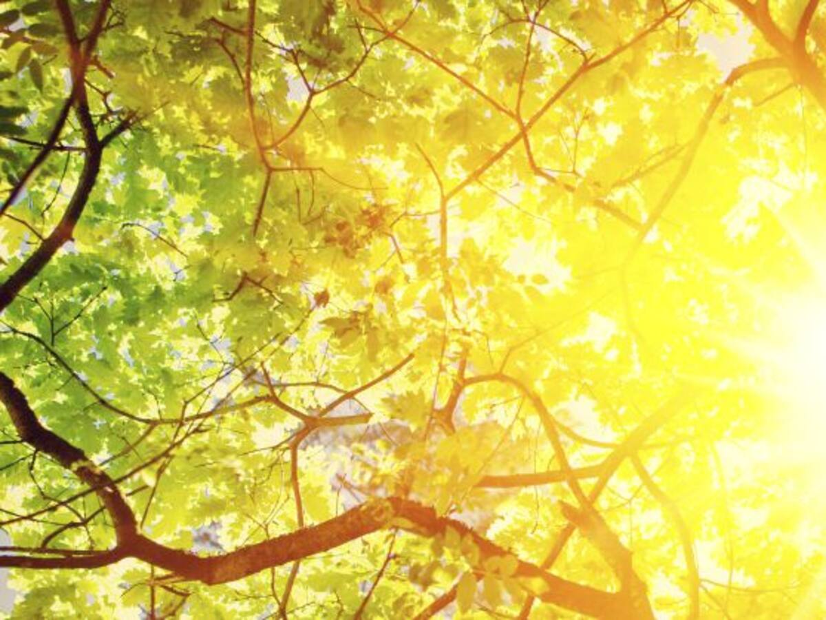 ¿Lloverá o seguirá el buen tiempo?