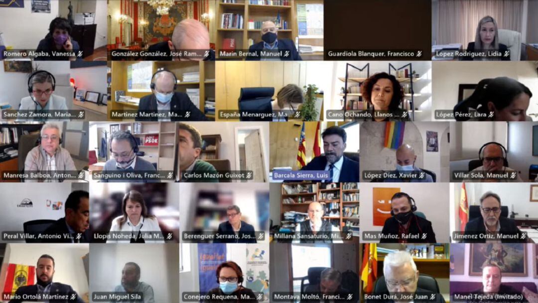 Captura de pantalla de la sesión plenaria telemática