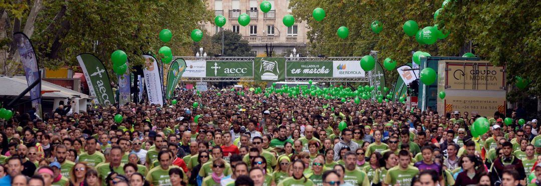 La Asociación Española Contra el Cáncer ha reunido een Valladolid a más de 56.000 personas en su multitudinaria marcha solidaria, la más numerosa de toda España, que cada año convierte a los inscritos en mecenas de un proyecto de investigación concreto y que tiñe las calles de la ciudad del verde de los organizadores.