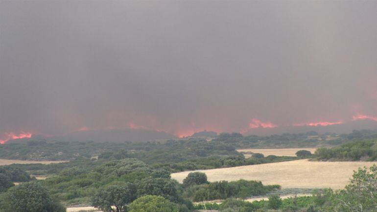El mayor incendio de este verano afectó a varios municipios de la comarca de Cinco Villas