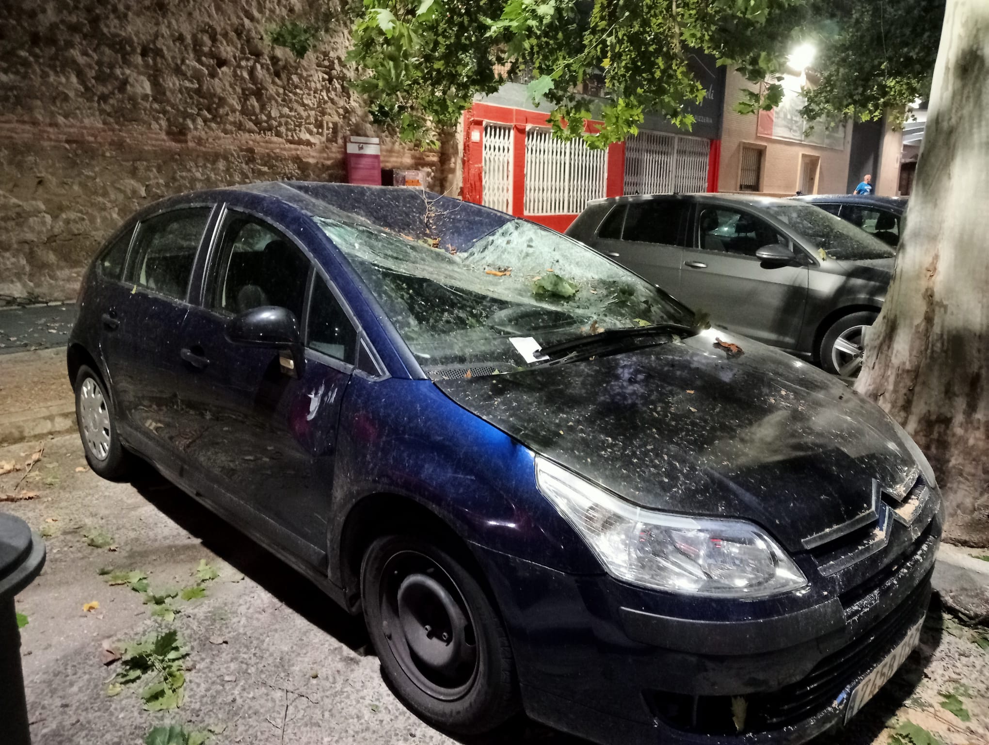 Coche afectado por una caída de árbol en Xàtiva. Fuente: Radio Xàtiva Cadena SER
