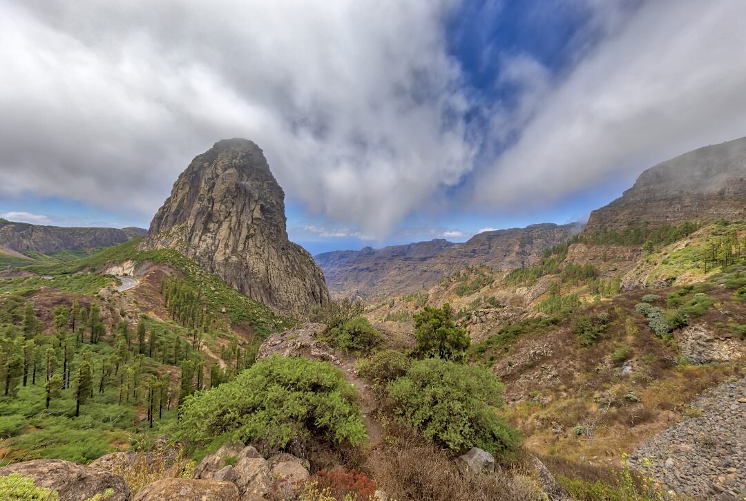 Parque Nacional de Garajonay, ubicado en la isla de La Gomera, cuyo director se jubilará en poco tiempo sin un relevo claro