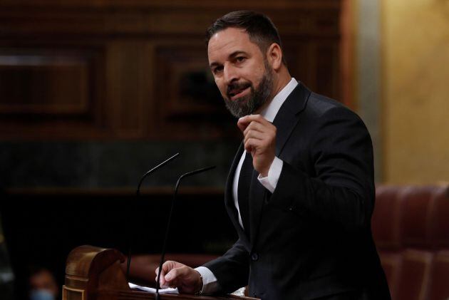 El líder de Vox, Santiago Abascal.