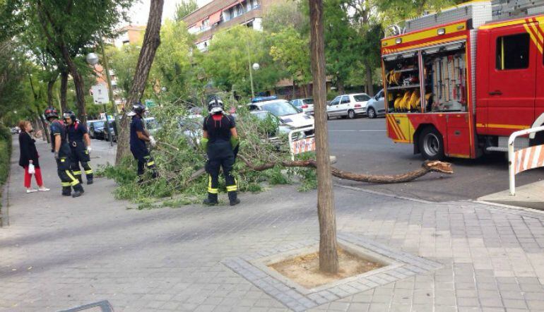 Una rama cae en el barrio de Aluche el pasado mes de septiembre