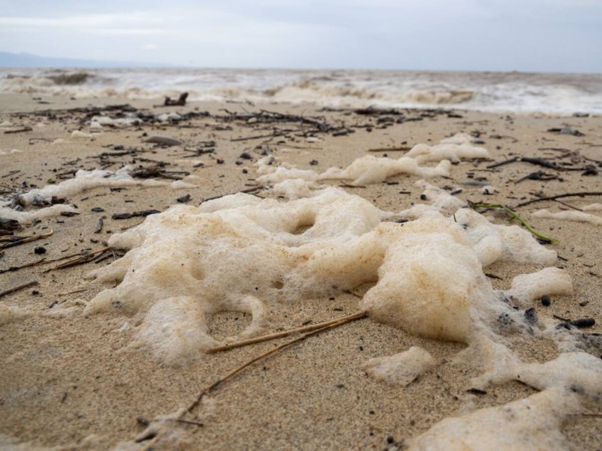 No queda un solo ecosistema marino sin contaminar