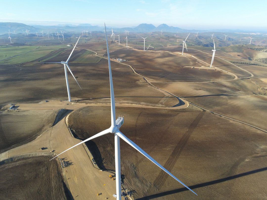 Imagen de archivo de un campo de aerogeneradores de energía eólica.