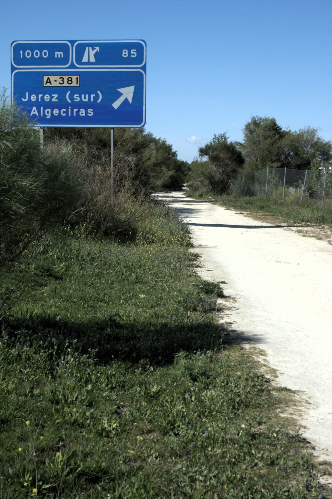 Un "paseíto" por la Vega de Zarandilla y Las Pachecas