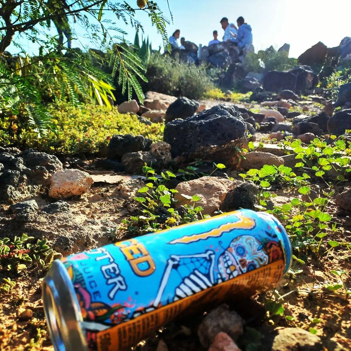 Basura fotografiada durante una de las actividades organizadas por Papacría.