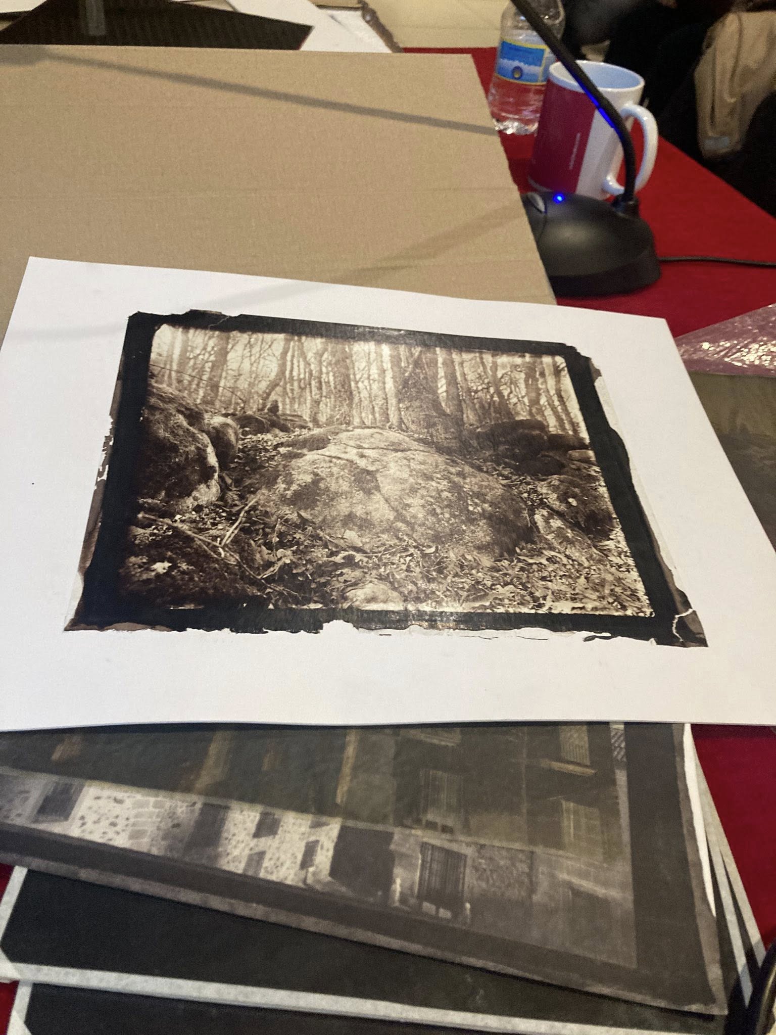 Presentación del proyecto