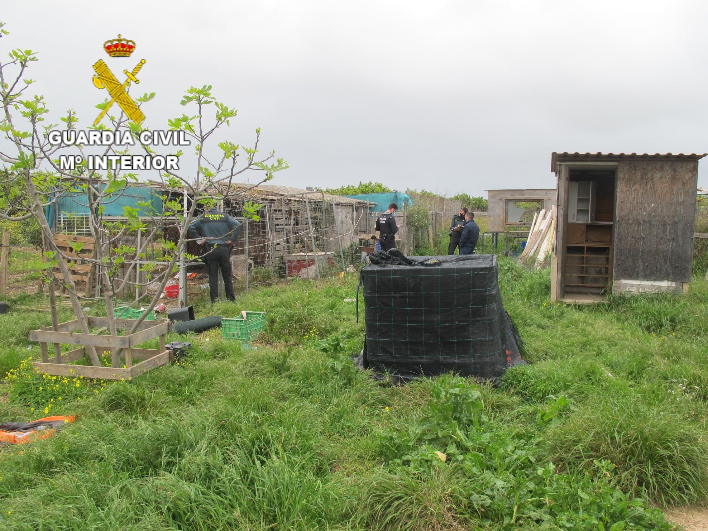 La Guardia Civil inspecciona las condiciones en las que vivían los animales.